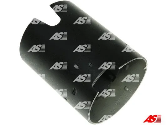 Field Winding, starter (SF0077S)