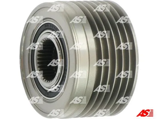 Alternator Freewheel Clutch (AFP3005(V))
