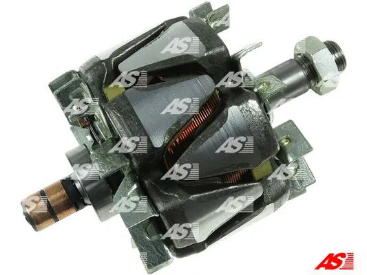 Rotor, alternator (AR4007(MM))