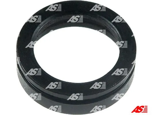 Repair Kit, starter (SRS3032)