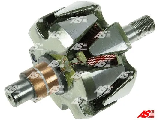 Rotor, alternator (AR4010S)