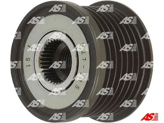 Alternator Freewheel Clutch (AFP0042)