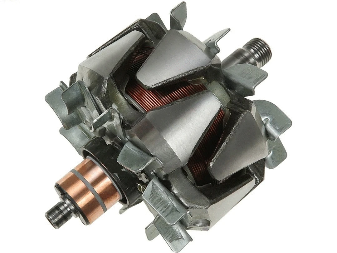 Rotor, alternator (AR2025S)