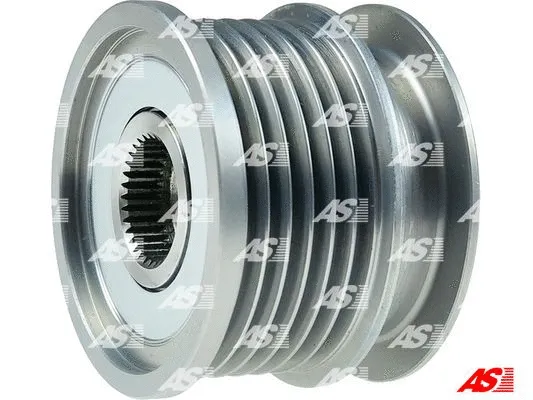 Alternator Freewheel Clutch (AFP1006)