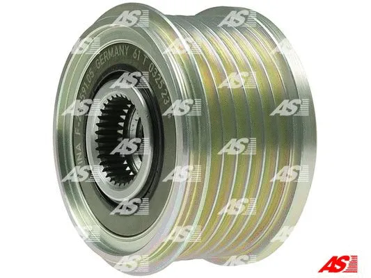 Alternator Freewheel Clutch (AFP3030(INA))