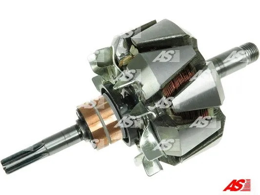 Rotor, alternator (AR2003)