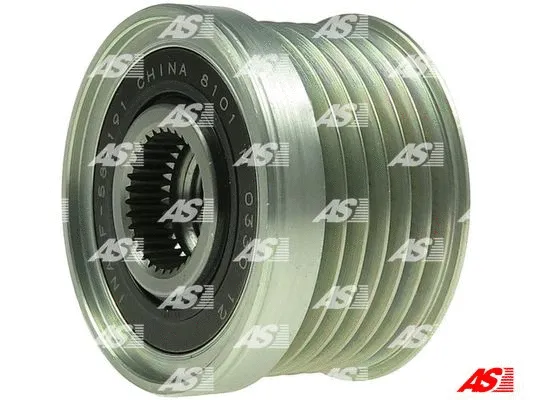 Alternator Freewheel Clutch (AFP5029(INA))