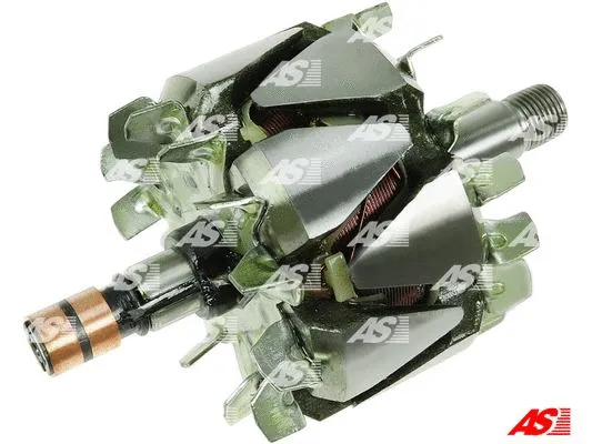 Rotor, alternator (AR0034)
