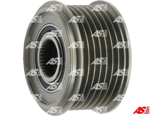 Alternator Freewheel Clutch (AFP0076(V))