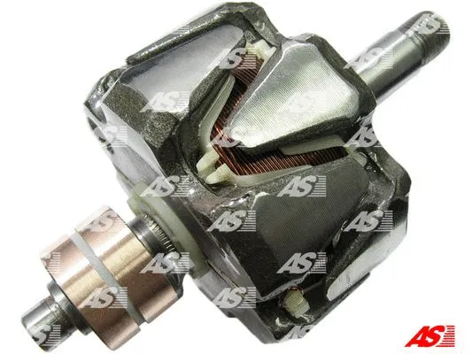 Rotor, alternator (AR9014)