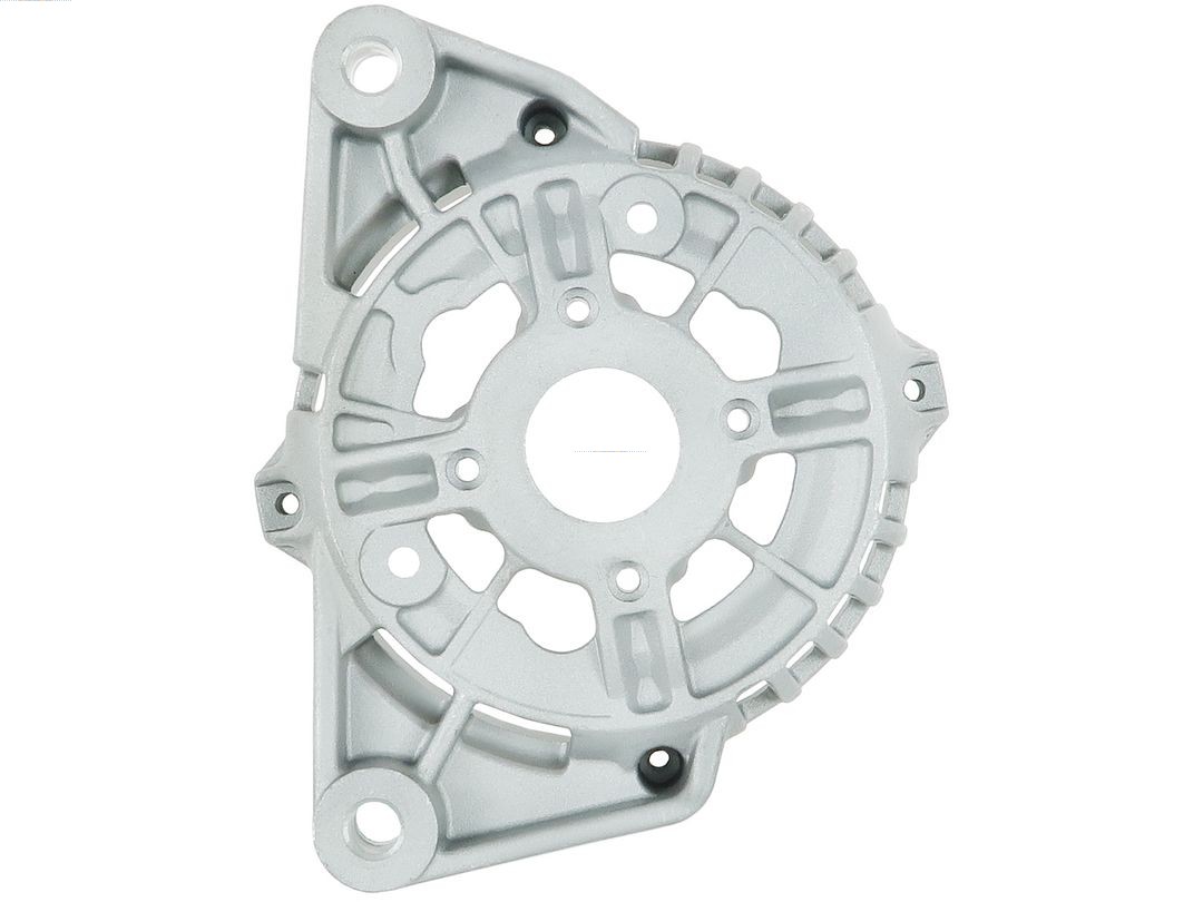 Bracket, alternator drive flange (ABR0317S)