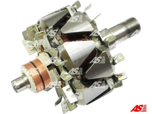 Rotor, alternator (AR5020)