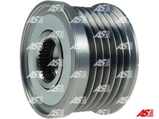 Alternator Freewheel Clutch (AFP0045)