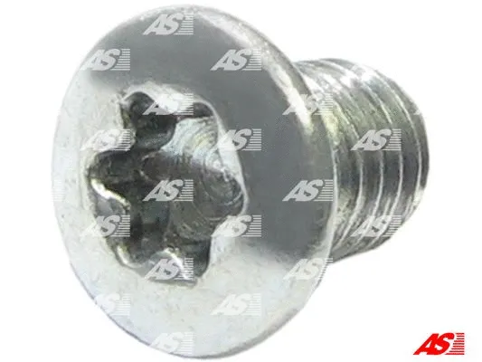 Repair Set, alternator (SRS3004)