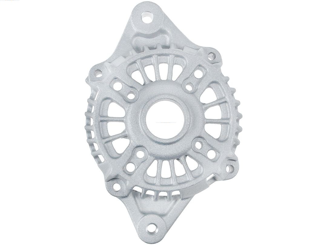 Bracket, alternator drive flange (ABR9065S)