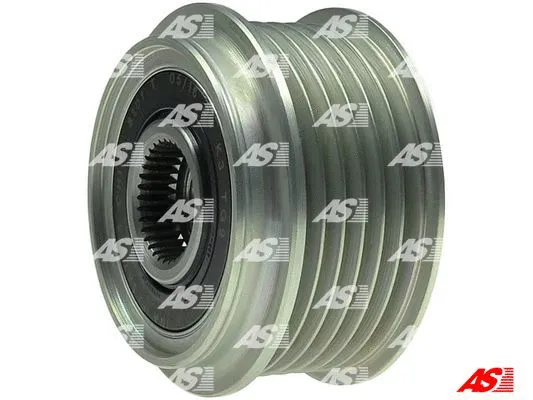 Alternator Freewheel Clutch (AFP3053(INA))