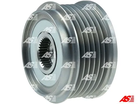 Alternator Freewheel Clutch (AFP1004)