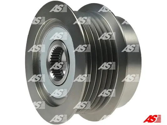 Alternator Freewheel Clutch (AFP0118S)