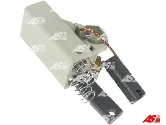 Holder, carbon brushes