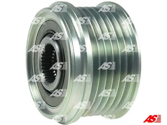 Alternator Freewheel Clutch (AFP6002(INA))