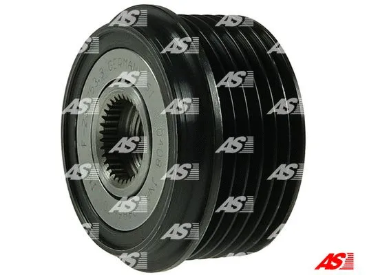 Alternator Freewheel Clutch (AFP1002(INA))