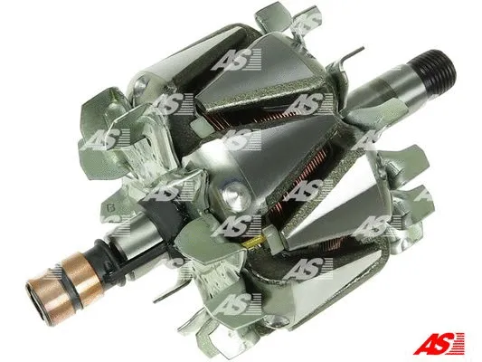 Rotor, alternator (AR0005)