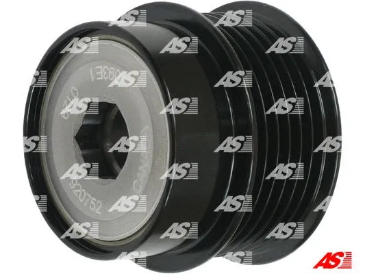 Alternator Freewheel Clutch (AFP6046(LITENS))