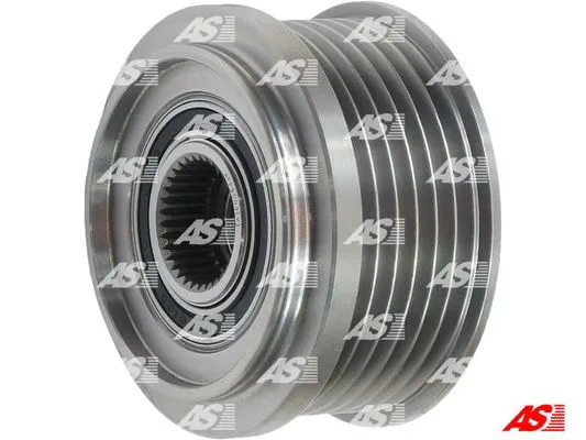 Alternator Freewheel Clutch (AFP9003(V))