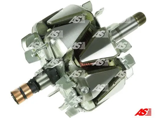 Rotor, alternator (AR0011)