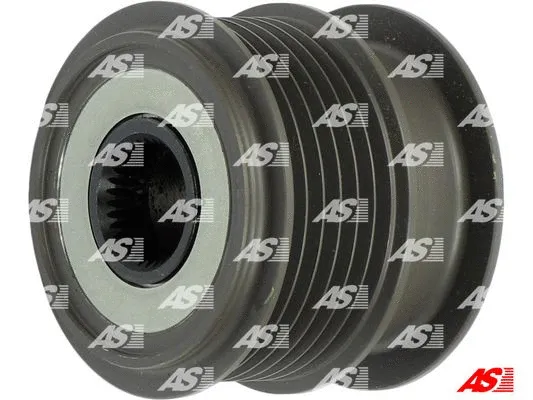 Alternator Freewheel Clutch (AFP0077)