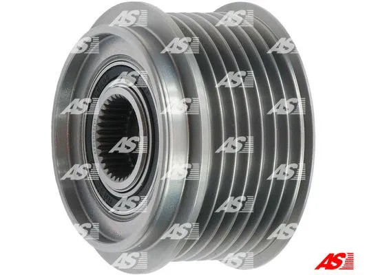 Alternator Freewheel Clutch (AFP2003(V))