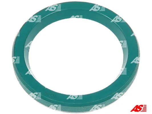 Repair Set, alternator (SRS3097S)