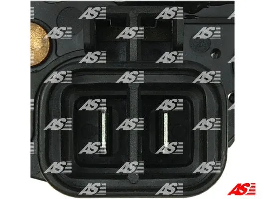 Alternator Regulator