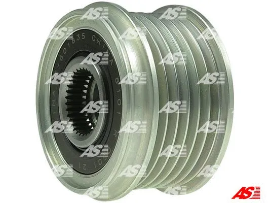 Alternator Freewheel Clutch (AFP6060(INA))
