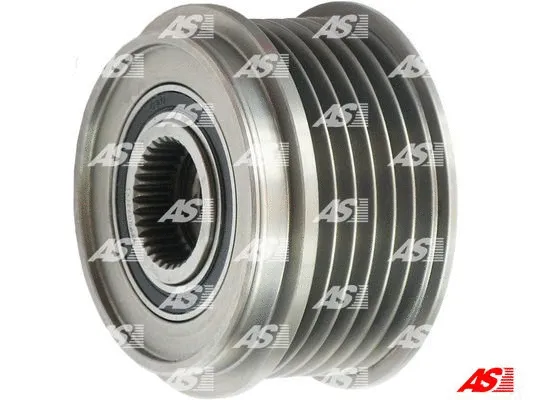 Alternator Freewheel Clutch (AFP0022(V))