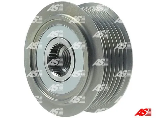 Alternator Freewheel Clutch (AFP0080)