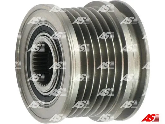 Alternator Freewheel Clutch (AFP0033(V))