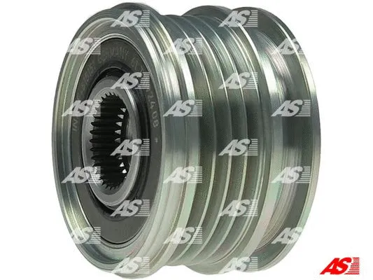 Alternator Freewheel Clutch (AFP5039(INA))