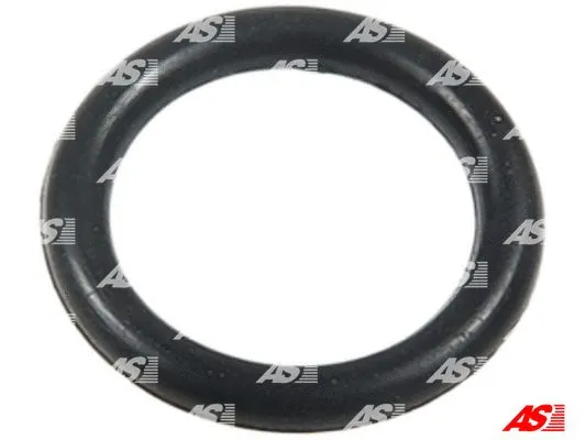 Repair Set, alternator (SRS1009)