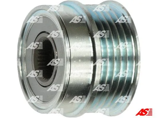 Alternator Freewheel Clutch (AFP6025)