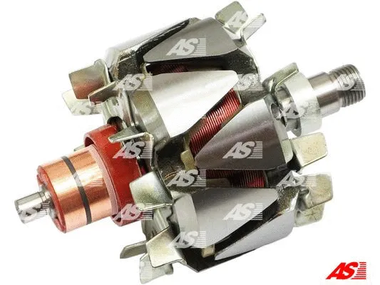Rotor, alternator (AR2010)