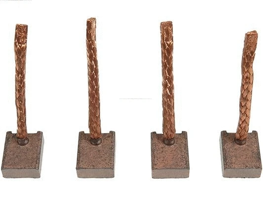 Carbon Brush, starter (BSX204-205)