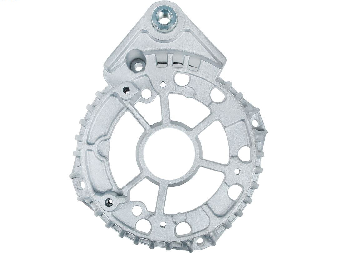 Bracket, alternator drive flange (ABR0223S)