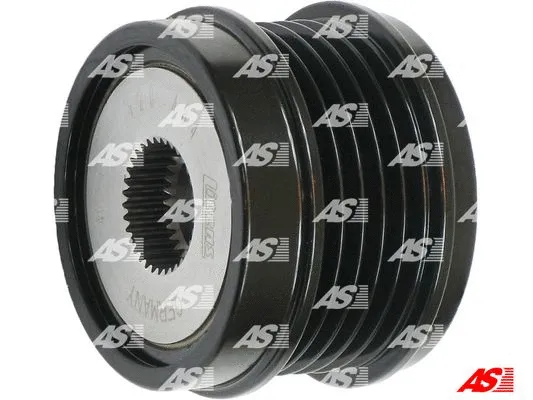Alternator Freewheel Clutch (AFP0089(INA))