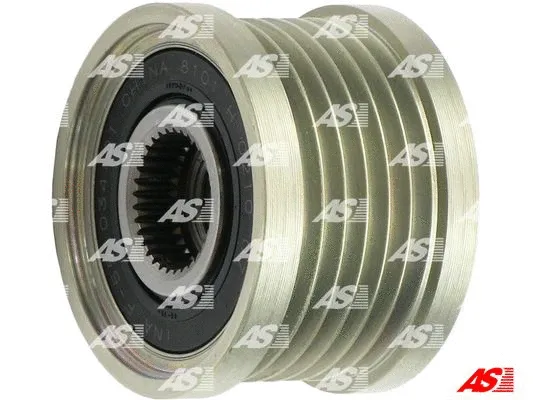 Alternator Freewheel Clutch (AFP2005(INA))