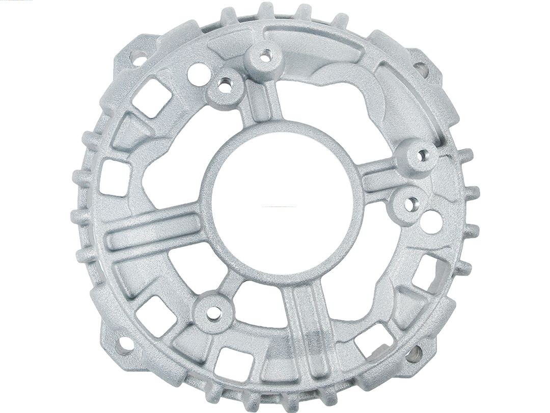 Bracket, alternator drive flange (ABR0220S)