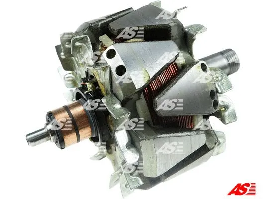 Rotor, alternator (AR5031)