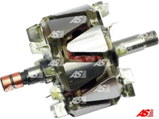 Rotor, alternator (AR0021)