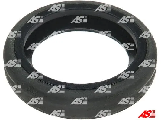 Repair Set, alternator (SRS0057)