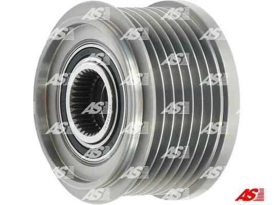 Alternator Freewheel Clutch (AFP0034(V))